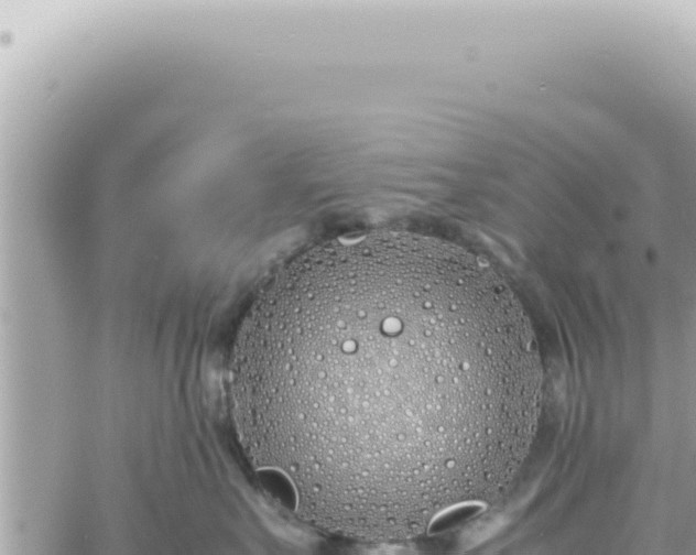 X0000060770527200511171216