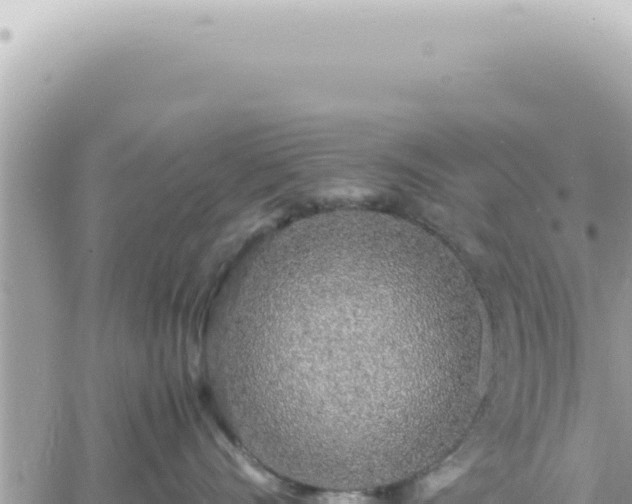 X0000060770528200511171216