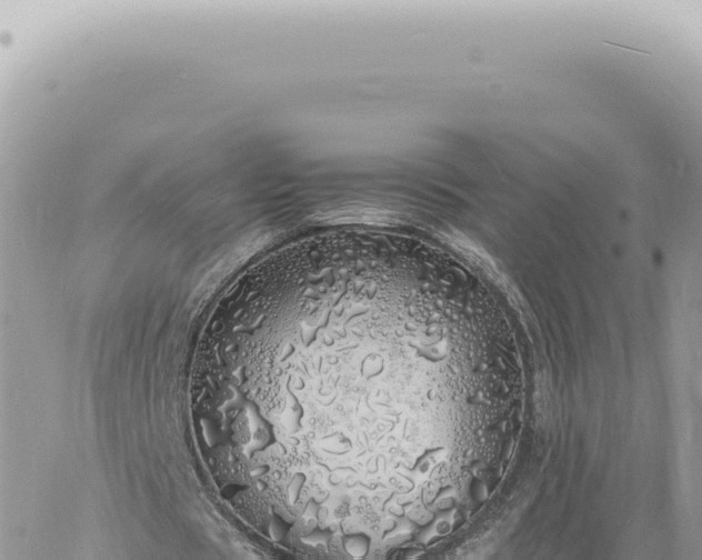 X0000060770529200511171215