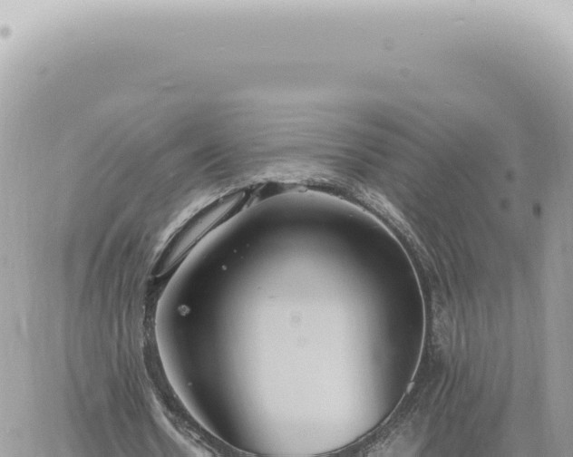 X0000060770530200511171215