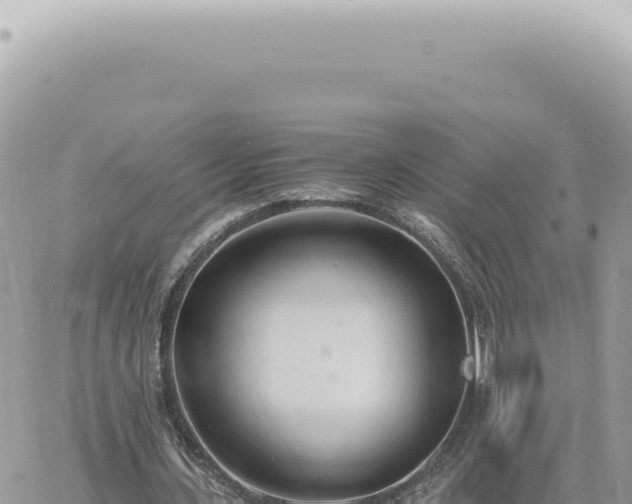 X0000060770531200511171215