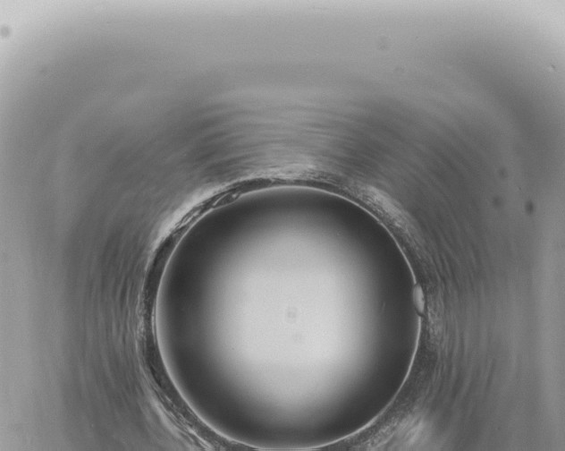 X0000060770532200511171216