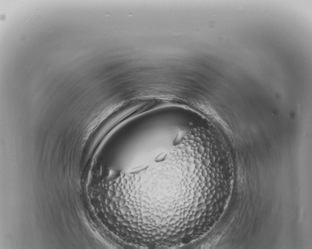 X0000060770533200511171216