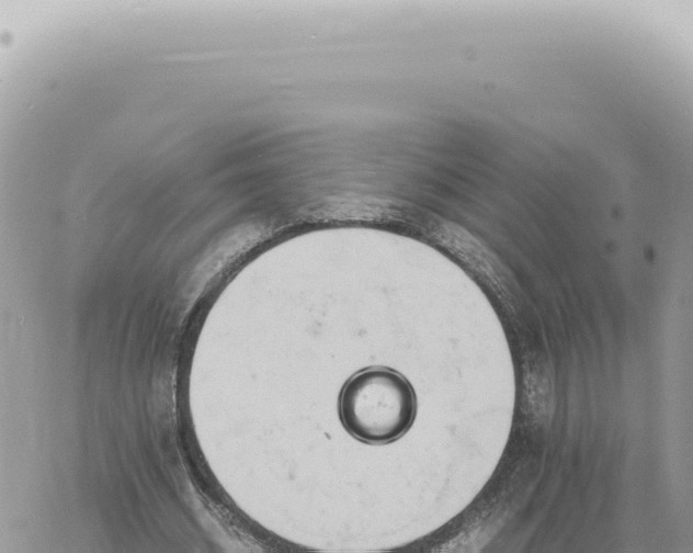 X0000060770534200511171216