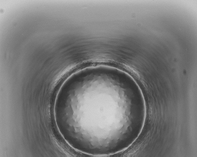 X0000060770535200511171216