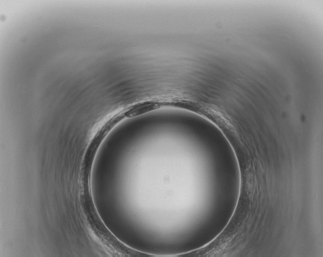 X0000060770536200511171216