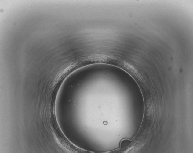 X0000060770538200511171216