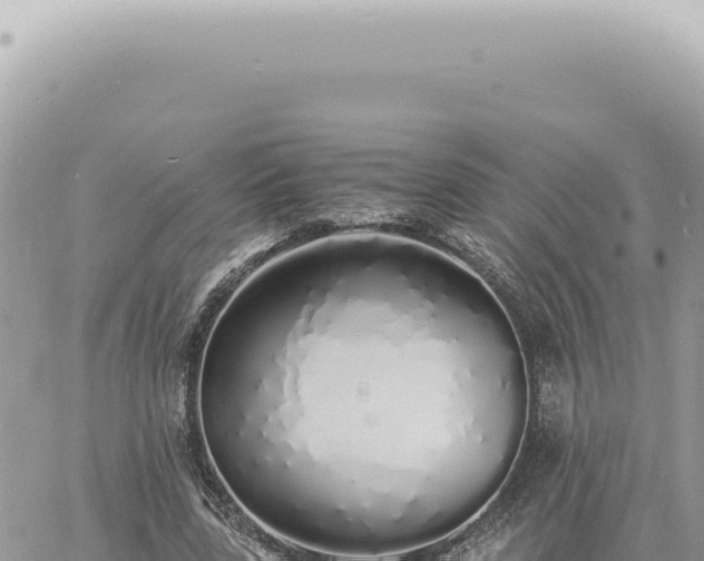 X0000060770539200511171216