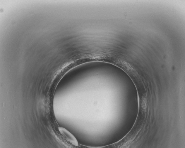 X0000060770540200511171216