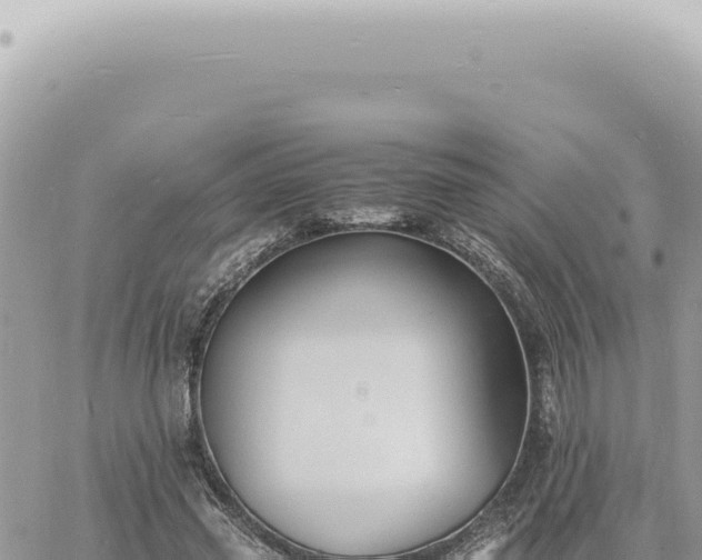 X0000060770541200511171216