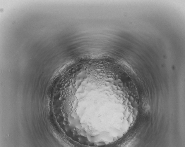 X0000060770542200511171216