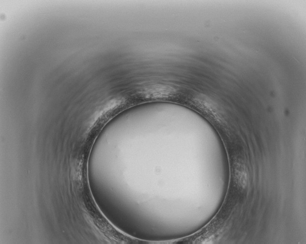 X0000060770543200511171216