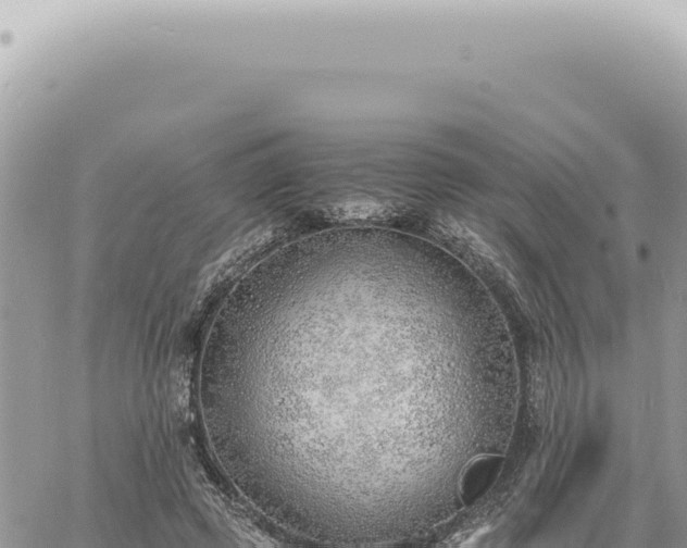 X0000060770545200511171216