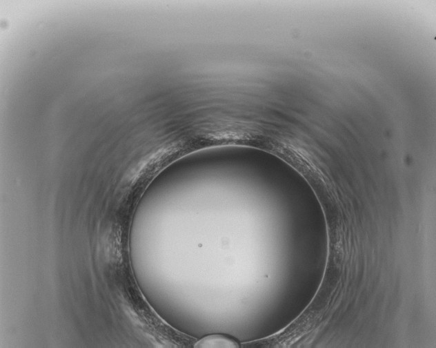 X0000060770547200511171216