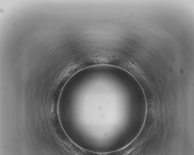 X0000060770548200511171216