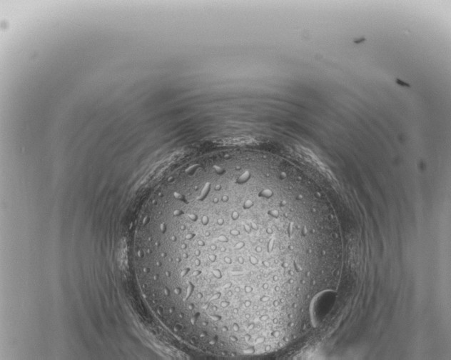 X0000060770549200511171216