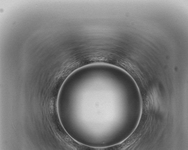 X0000060770551200511171216