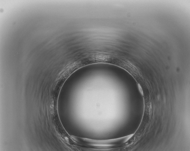 X0000060770552200511171216