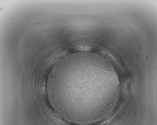 X0000060770553200511171216