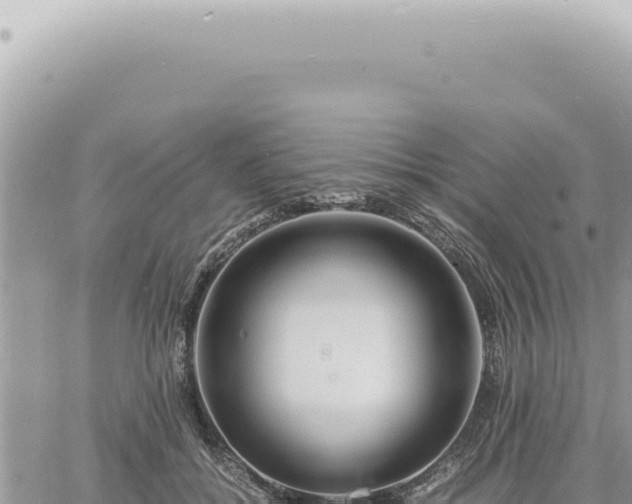 X0000060770556200511171216