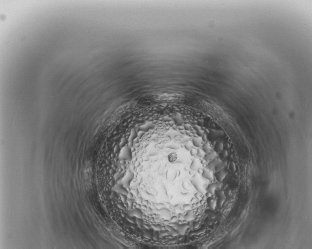 X0000060770557200511171216