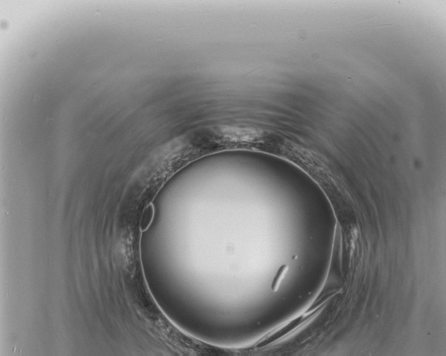 X0000060770559200511171216