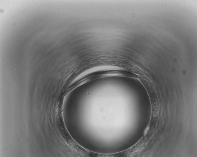 X0000060770560200511171216