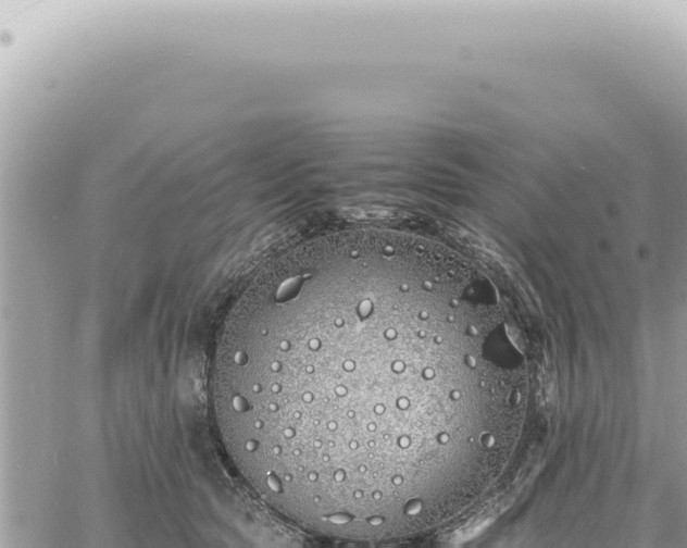 X0000060770561200511171216