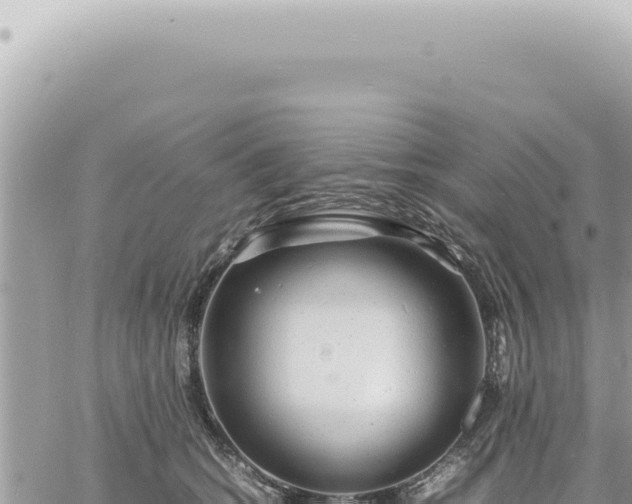 X0000060770562200511171216