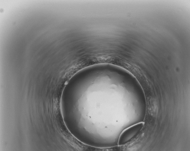 X0000060770563200511171216