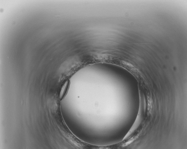 X0000060770566200511171216