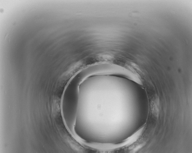 X0000060770570200511171216