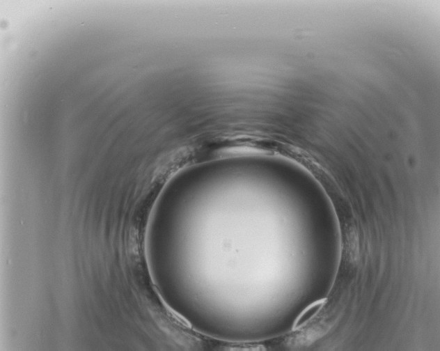 X0000060770571200511171216