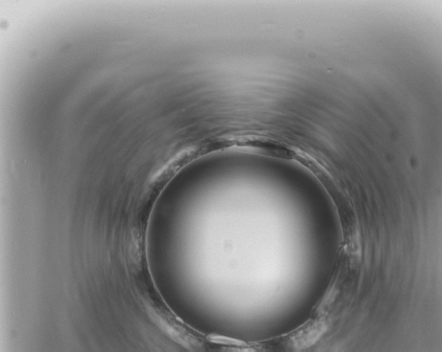 X0000060770572200511171216