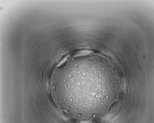 X0000060770573200511171216