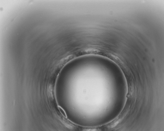 X0000060770575200511171216