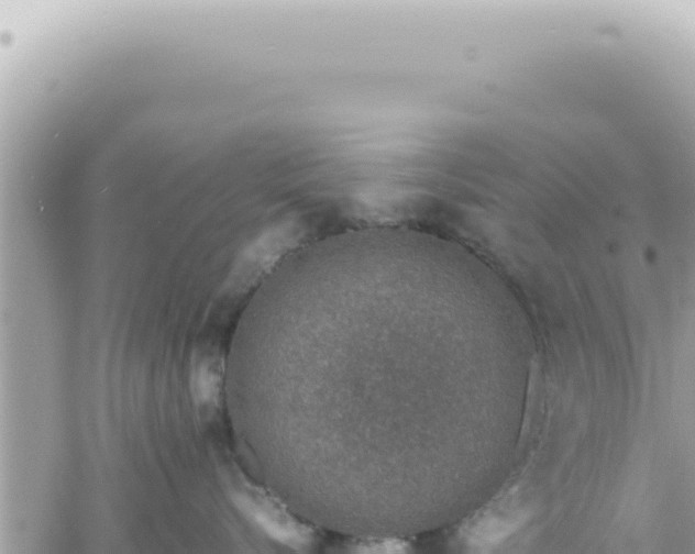 X0000060770576200511171216