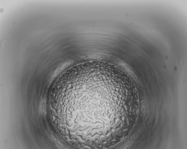 X0000060770578200511171215