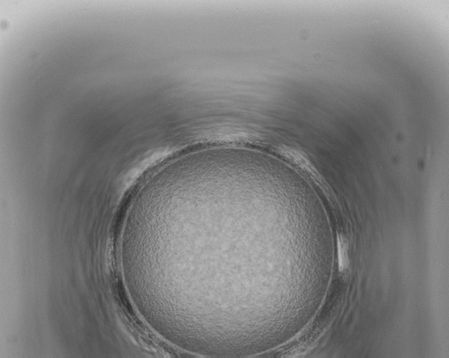 X0000060770579200511171215