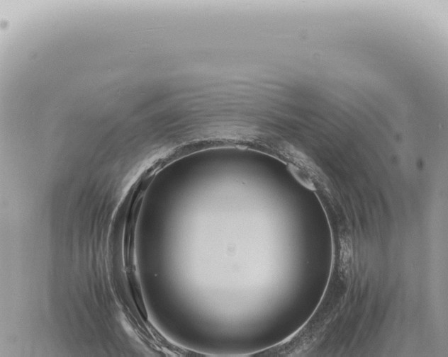 X0000060770580200511171215