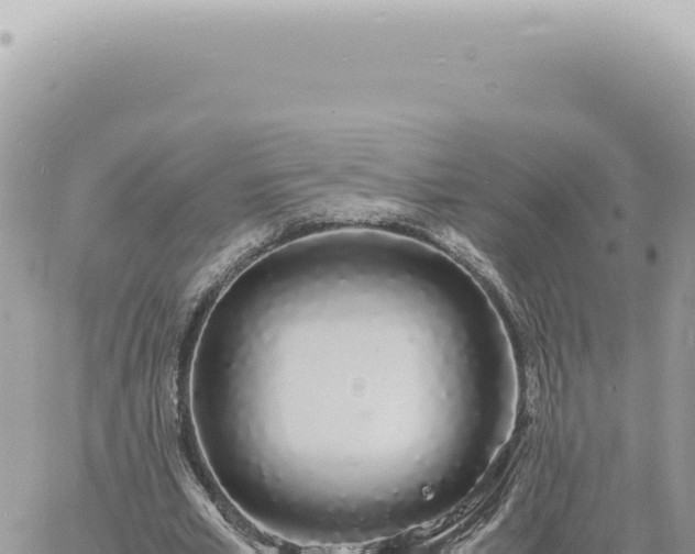 X0000060770581200511171215