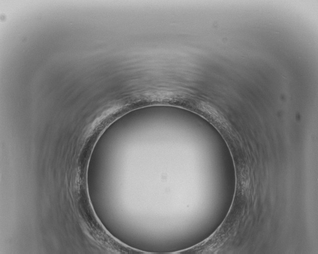 X0000060770583200511171215