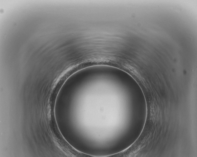 X0000060770584200511171215