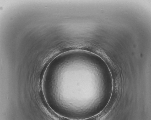 X0000060770585200511171215