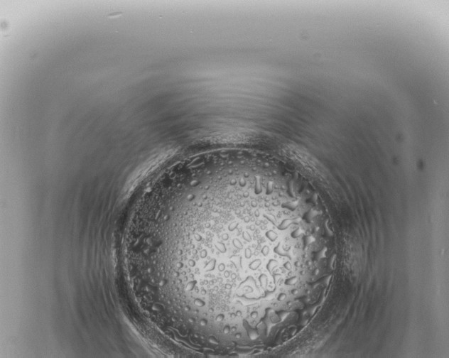 X0000060770586200511171215