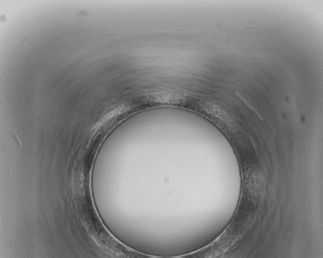 X0000060770587200511171215