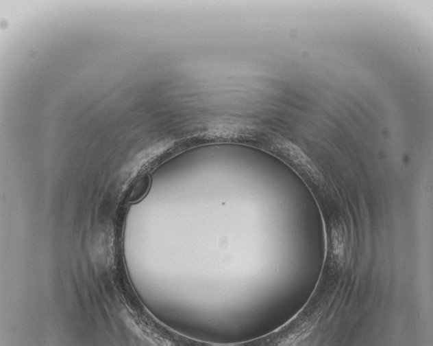 X0000060770588200511171215