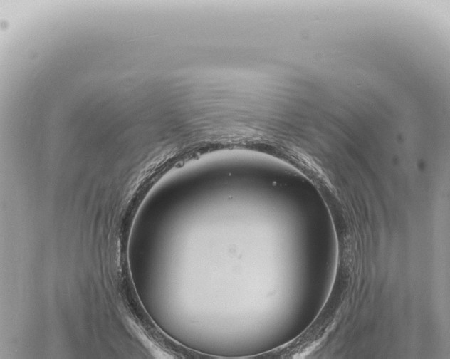 X0000060770589200511171215