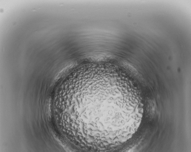 X0000060770590200511171215