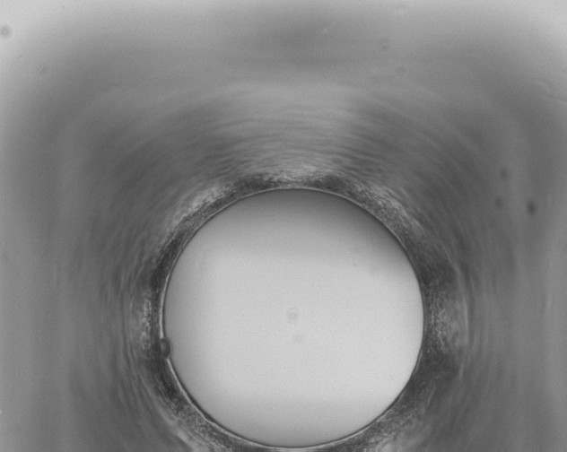 X0000060770591200511171215